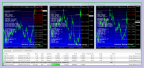 Simple WayGrow EA ( Photo 1 )..png
