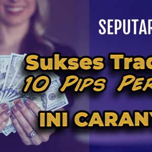 Media 'Sukses 10 Pips Per Hari Ala Hoosain Harneker' in album 'agulinovich album'