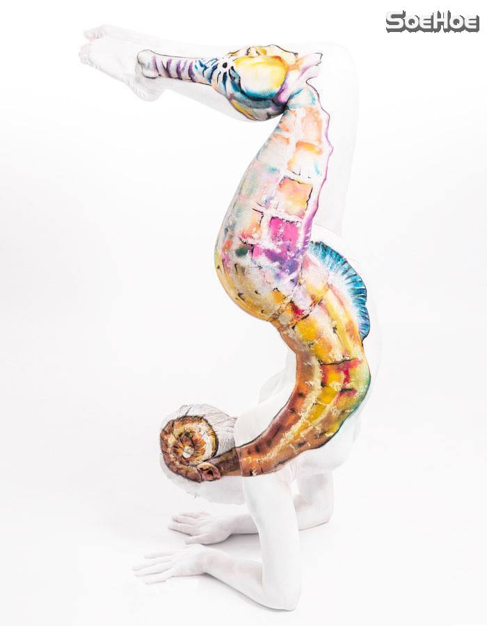 10012534_853473571359892_2604577249474198854_n