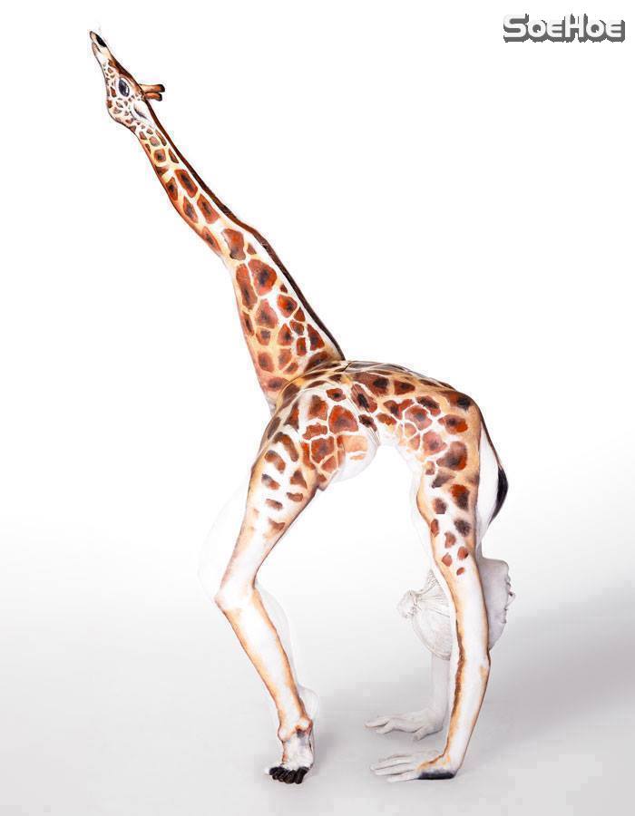 10520633_853473541359895_2646693549208679413_n