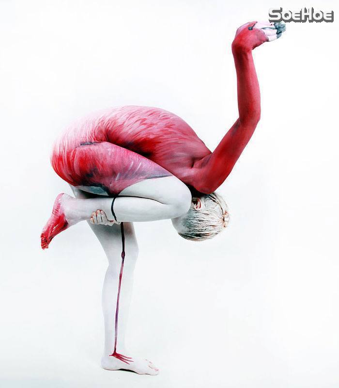 10547421_853473508026565_4541139062446731132_n