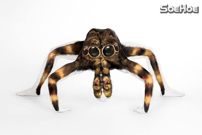 10593079_853473531359896_7856436172192291984_n