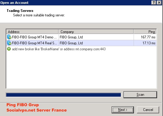 FIBO Grup Server Eropa