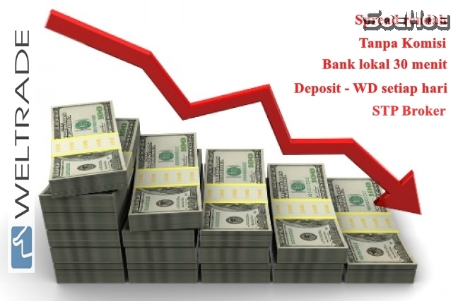 WELTRADE STP BROKER
