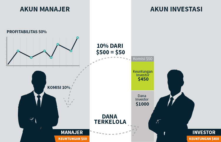info_graph_ID.jpg