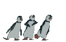 Trio Penguin :trio penguin: :trio penguin:
